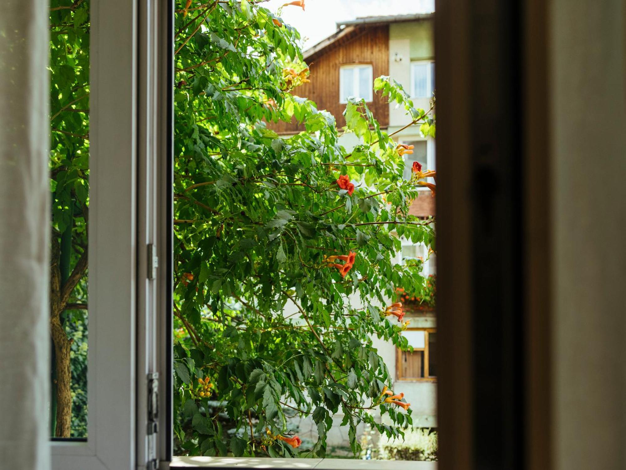 Cozy Central Apartment Near The Forest Braszów Zewnętrze zdjęcie