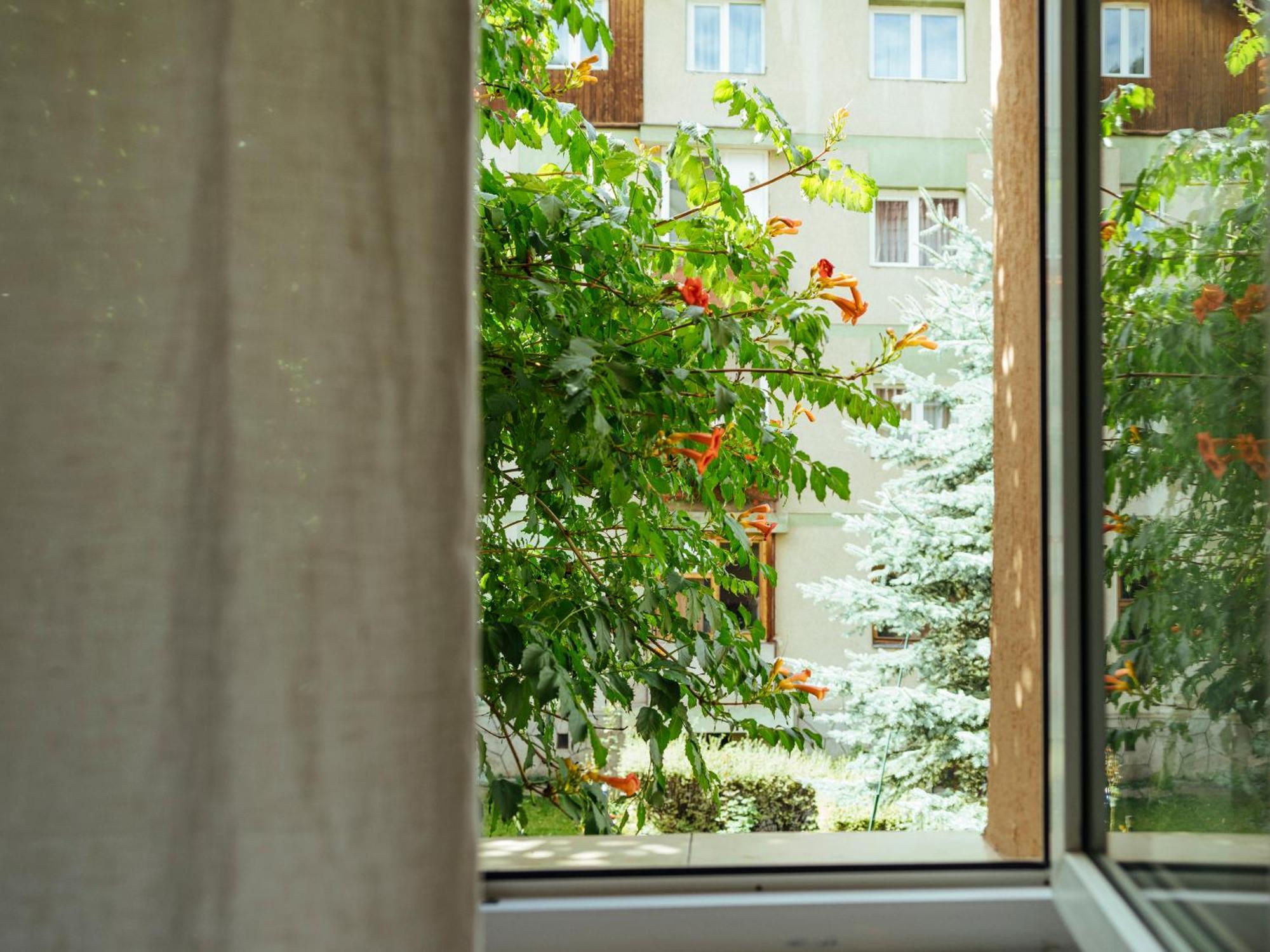 Cozy Central Apartment Near The Forest Braszów Zewnętrze zdjęcie